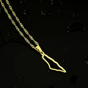 Macro-opname van een gouden Palestina kaart hanger ketting op zwarte waterdruppels