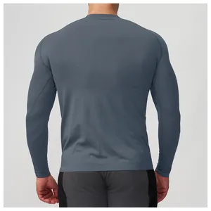 Back view of a seamless grey long-sleeved men's sports t-shirt showing mesh texture
