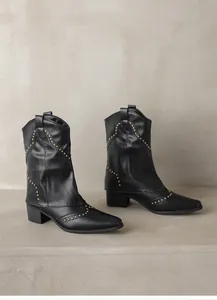 Side view of black Western ankle boots with gold rivets and a pointed toe detail