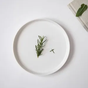 Minimalist white round ceramic dinner plate with matte finish for Nordic home decor