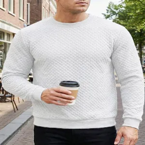 Sweatshirt décontracté en maille gaufrée gris clair pour hommes, printemps et automne