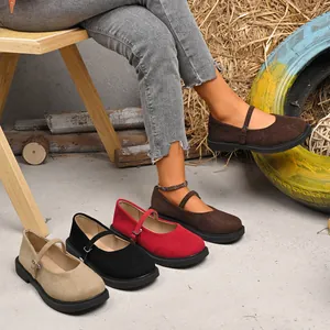 Detail of Mary Jane suede shoes in various colors with an adjustable strap.