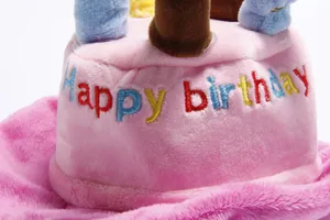 Dettaglio del ricamo 'Happy Birthday' su un morbido cappello a torta rosa per animali