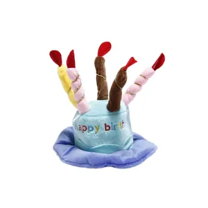 Vista dettagliata del cappello a torta di compleanno in peluche per animali con candele.