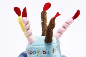 Dettaglio cappello di compleanno in peluche per animali con candele colorate