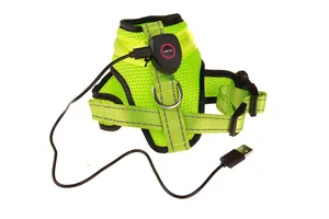 Detailed close-up showing the USB charging cable connected to a neon green LED pet harness