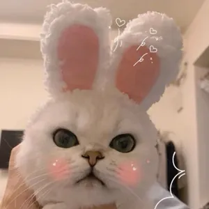 Close-up of a cute cat wearing a plush white rabbit ear hat featuring soft pink inner ears.