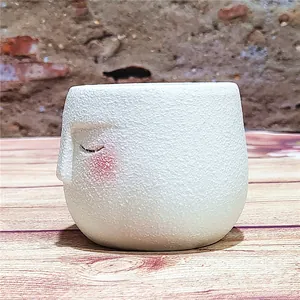 Close-up of a cute face-shaped ceramic succulent planter with pink blush details