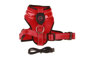 Adjustable red LED pet harness with USB charging cable for night safety.