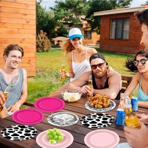 Assiettes de fête jetables à motifs variés lors d'un rassemblement en plein air