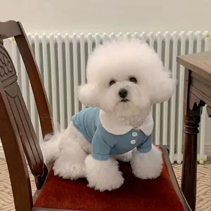 Vista de un perro Bichón blanco con un suéter azul para mascotas y cuello Peter Pan blanco