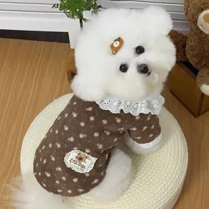 Detail view of a white dog wearing a brown polka dot pet sweater with a white lace collar