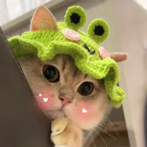 Adorable green knitted frog-themed hat for cats and small dogs detail closeup view