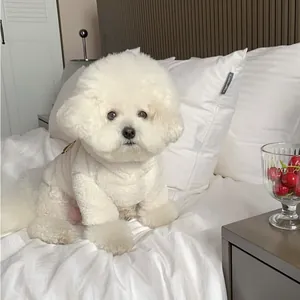 Close-up of a white Bichon dog wearing a fluffy white plush autumn winter pet sweater