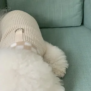 Detail view of thickened cream textured pet vest with leash D-ring on small white dog