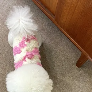 Detailaufnahme eines weißen Hundes in einer rosa-weiß karierten warmen Fleeceweste