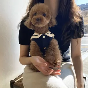 Close-up detail of navy blue sailor style pet shirt worn by a small puppy outdoors
