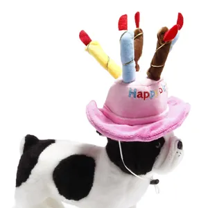 Primo piano del cappello a torta di compleanno in peluche rosa per animali domestici
