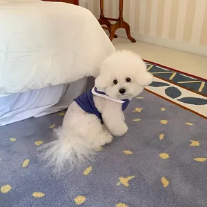 Adorabile cane Bichon Frise bianco con una comoda maglietta blu con colletto alla marinara