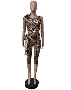 Full front view of a leopard print two-piece outfit with crop top and cropped pants.