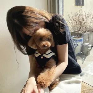 Detail of a brown poodle wearing a navy sailor collar pet outfit being held by a girl