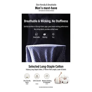 Chemise à rayures pour hommes en coton à fibres longues de qualité supérieure