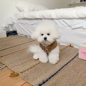 Thickened brown quilted pet vest shown on a white Bichon Frise puppy in a cozy home
