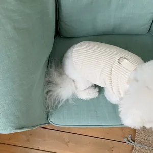 A white dog wearing a cream ribbed thickened pet vest with D-ring on a mint green sofa