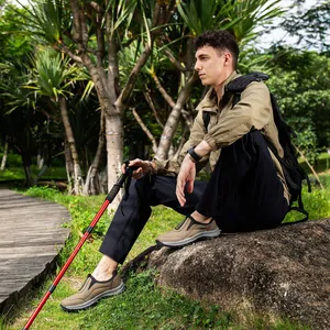 Men's waterproof hiking shoes shown in an outdoor lifestyle setting with trekking pole