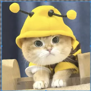 Adorable bee transformation hoodie costume for cats and small dogs in autumn seasons.