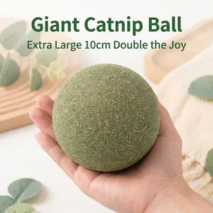 Vista dettagliata di una palla gigante di erba gatta da 10 cm tenuta in una mano umana
