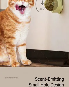 Επιτοίχιο περιστρεφόμενο παιχνίδι catnip για την ψυχαγωγία και οδοντιατρική φροντίδα