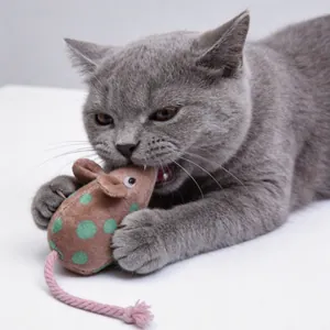 Vista dettagliata di un gatto grigio che morde un topo di peluche marrone a pois