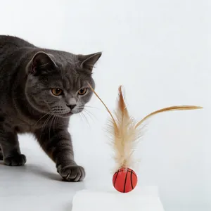 Interactive feather cat toy with basketball patterned bouncy ball