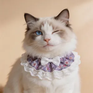 Collar floral para mascotas con encaje blanco y lazo para gatos