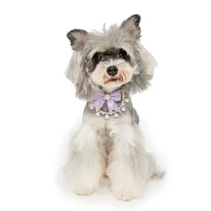 Close-up detail of a small fluffy dog wearing an elegant pearl collar with a purple bow