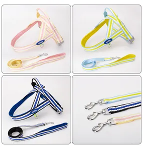 Detail showing three colors of striped dog harness sets and metal leash clips.