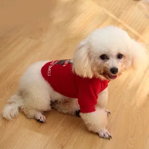 Close-up of a small white poodle wearing a festive red pet sweater on a wooden floor