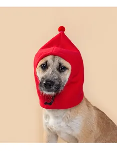 Close-up of a dog wearing a red fleece Christmas hat with a pom-pom and adjustable cord