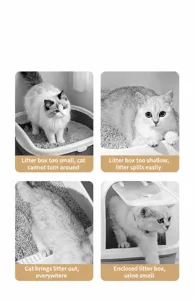 Infographic showing common problems with standard cat litter boxes like size and tracking