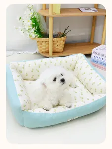 Cozy blue patterned dog bed for small and medium dogs in a bright indoor room