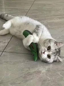 Cute domestic cat playing with a durable green fish-shaped plush toy on a grey tiled floor