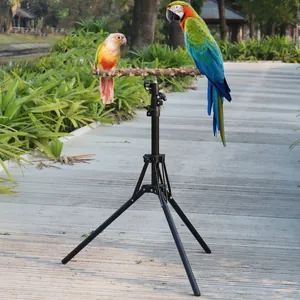 Verstelbare Telescopische Papegaaienstandaard Natuurlijk Houten Zitstok Metalen Driepoot Voor Vogeltraining Oefening