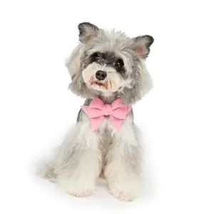 Detailed view of high-end large pink fabric bow tie collar worn by small gray fluffy dog