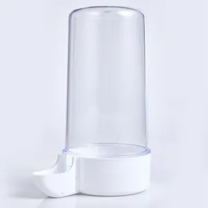 Close-up detail of a transparent acrylic automatic gravity bird waterer for quails