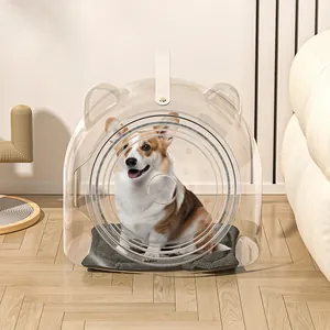 Modern transparent pet capsule bed for cats and small dogs with cozy inner soft mat