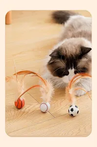 Ragdoll cat playing with basketball, baseball, and soccer patterned feather ball toys