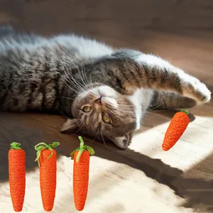 Detail van wortelvormige hennep touw kattenspeeltjes op een houten vloer met een kat.
