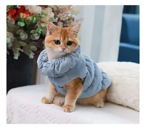 Close-up of a cute cat wearing a warm light blue puffer vest for winter pet fashion