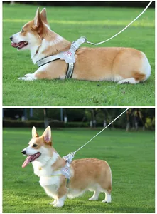 Pettorina catarifrangente grigia per cani con guinzaglio indossata da un cane Corgi.